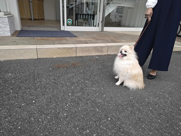 日曜日は・・・